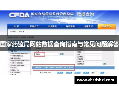 国家药监局网站数据查询指南与常见问题解答